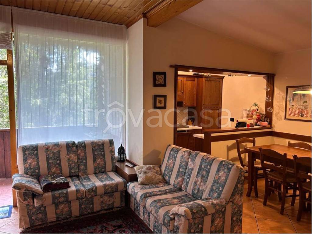 immagine annuncio 3 di 14