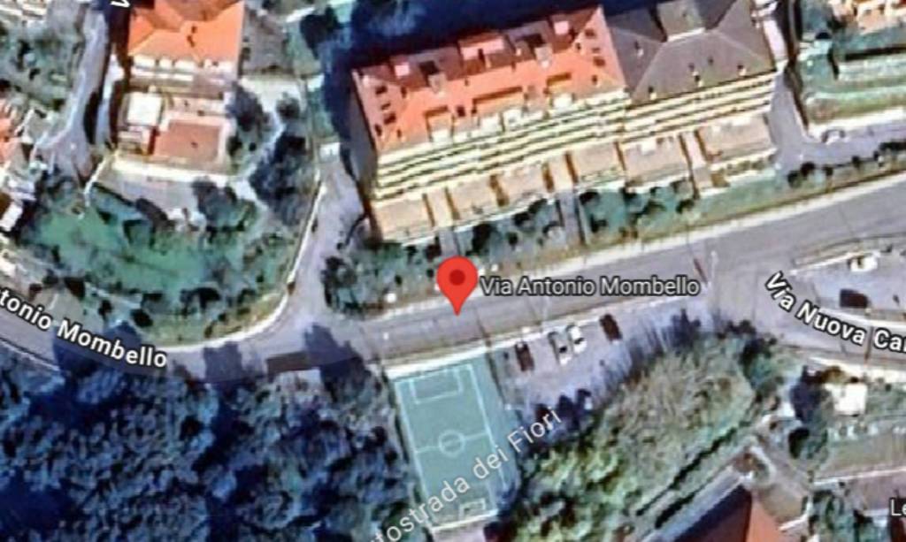 immagine annuncio 5 di 12