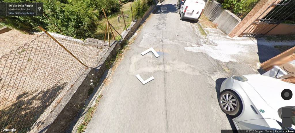 immagine annuncio 3 di 12