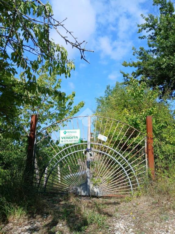 immagine annuncio 5 di 7