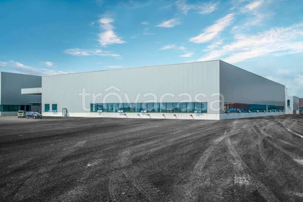 immagine annuncio 5 di 6