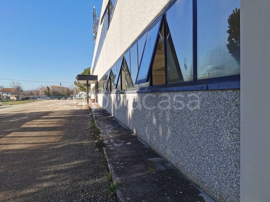 immagine annuncio 4 di 8
