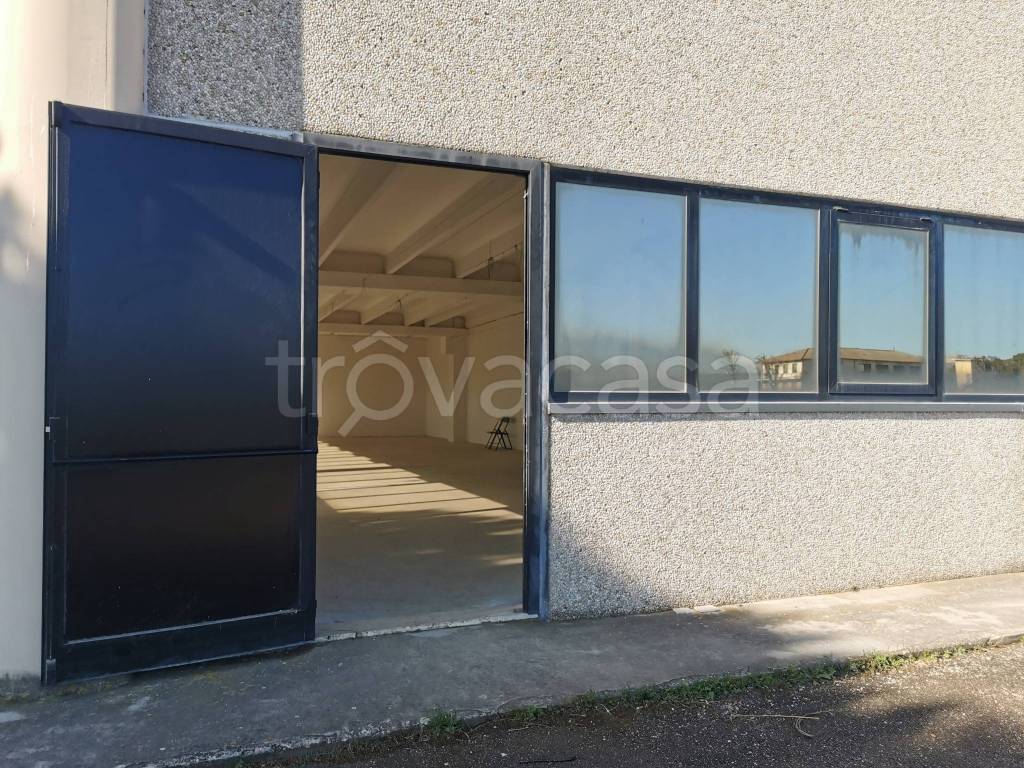 immagine annuncio 5 di 8
