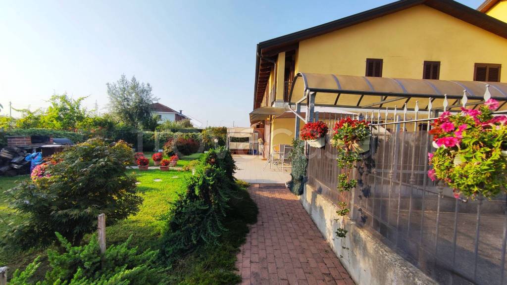 immagine annuncio 11 di 15