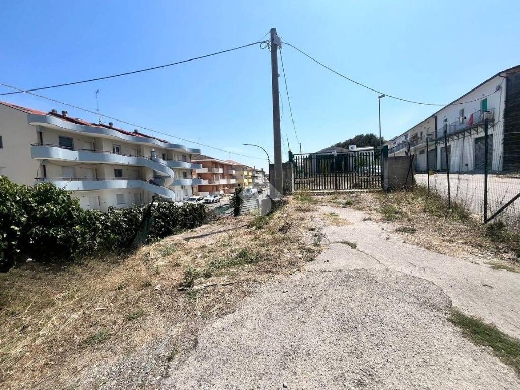 immagine annuncio 2 di 11