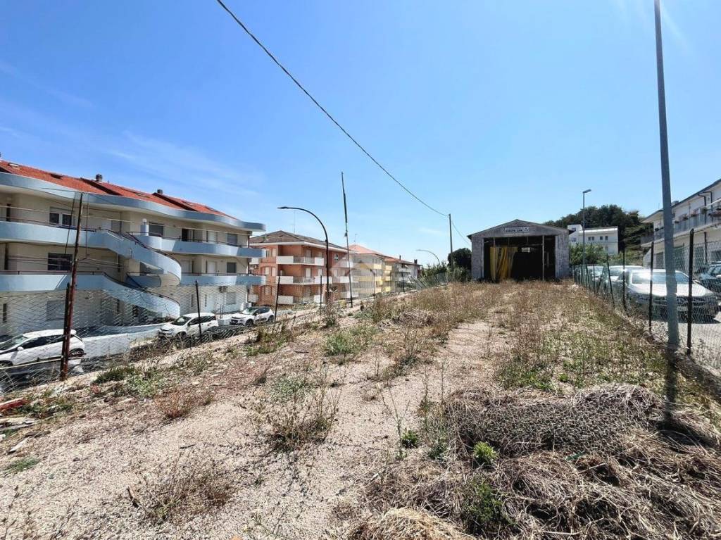 immagine annuncio 3 di 11