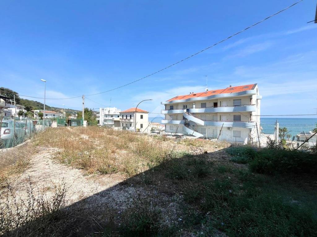 immagine annuncio 5 di 11