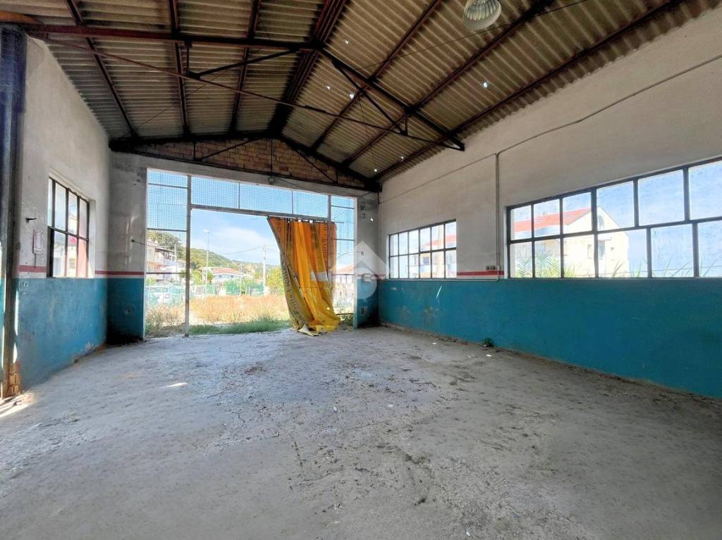 immagine annuncio 8 di 11