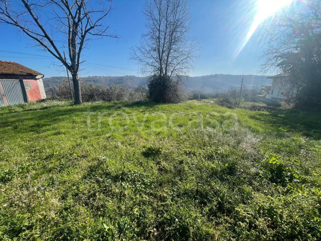 immagine annuncio 1 di 4