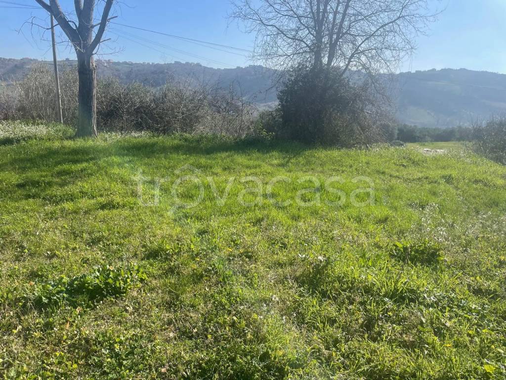 immagine annuncio 2 di 4