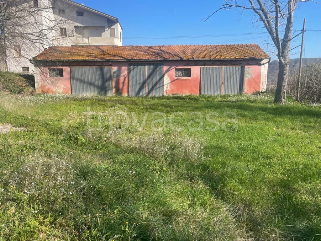 immagine annuncio 3 di 4