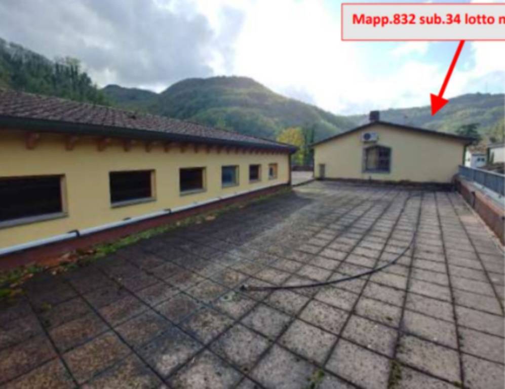 immagine annuncio 3 di 13