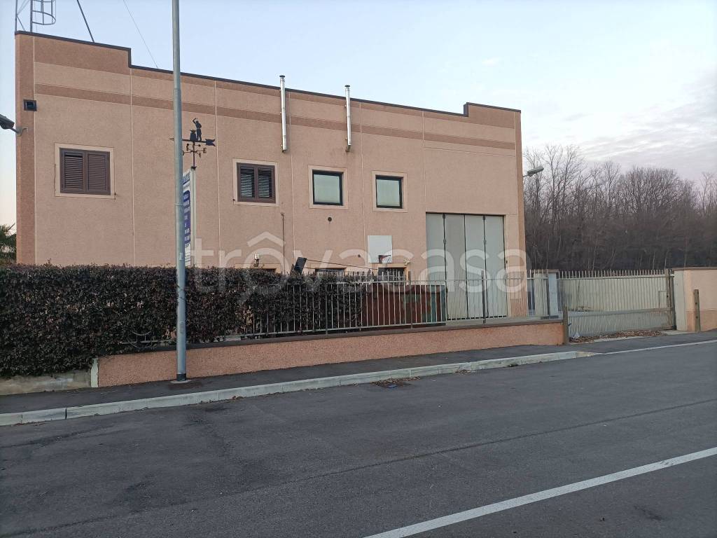 immagine annuncio 4 di 5