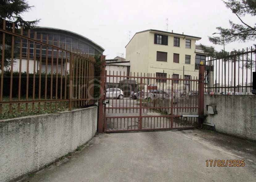 immagine annuncio 9 di 14