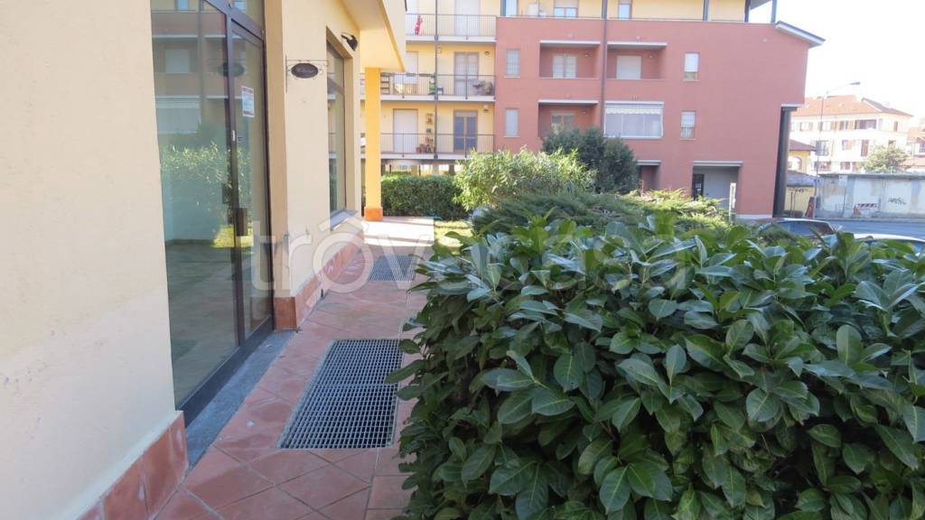 immagine annuncio 10 di 11