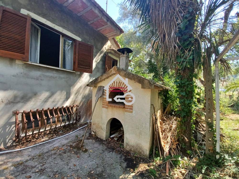 immagine annuncio 1 di 14