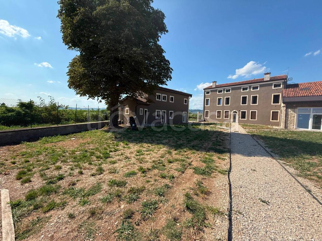 immagine annuncio 2 di 14