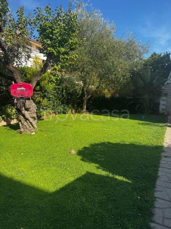 immagine annuncio 1 di 14