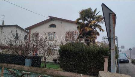immagine annuncio 3 di 6