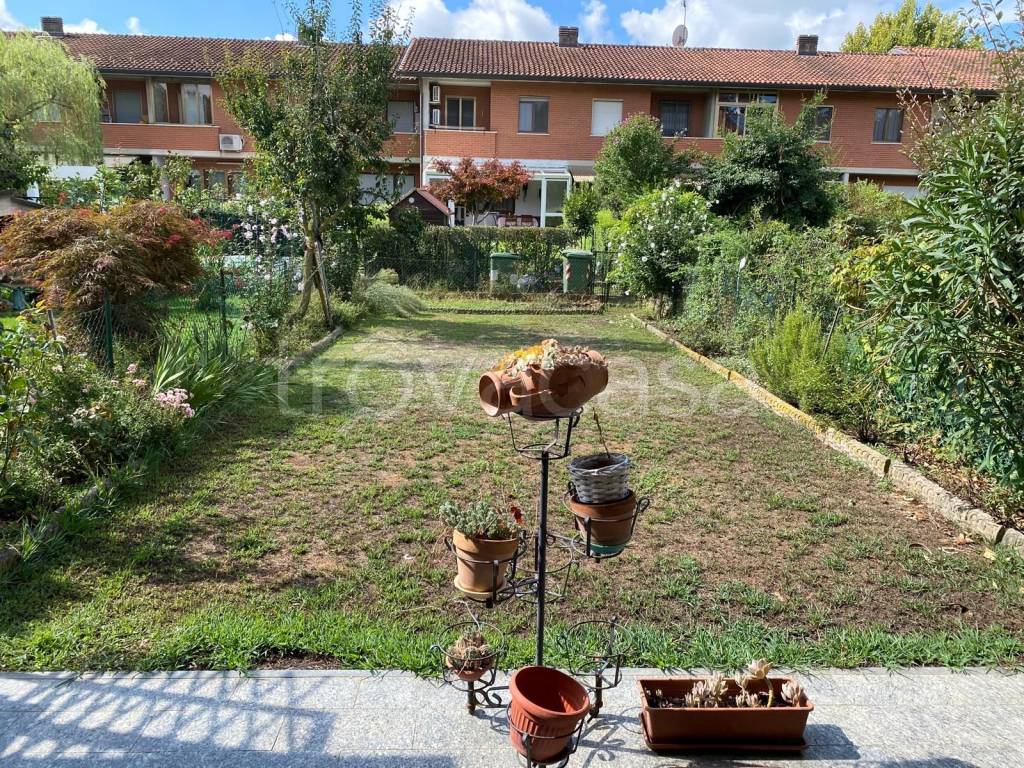 immagine annuncio 3 di 14