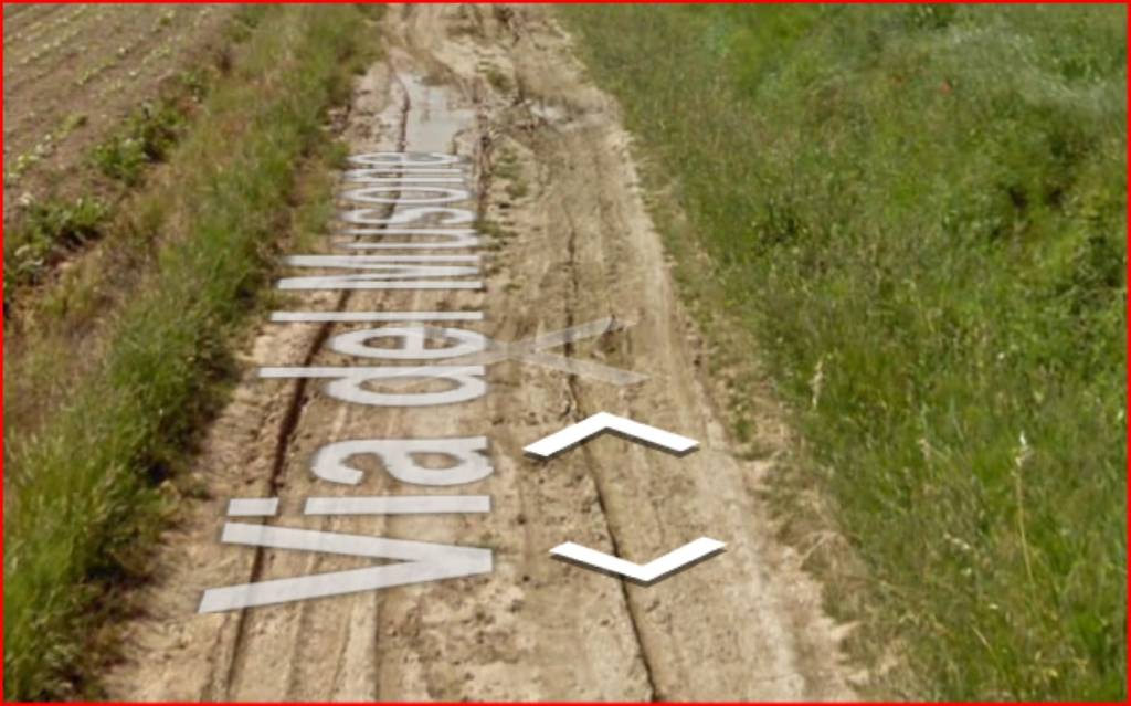 immagine annuncio 7 di 13