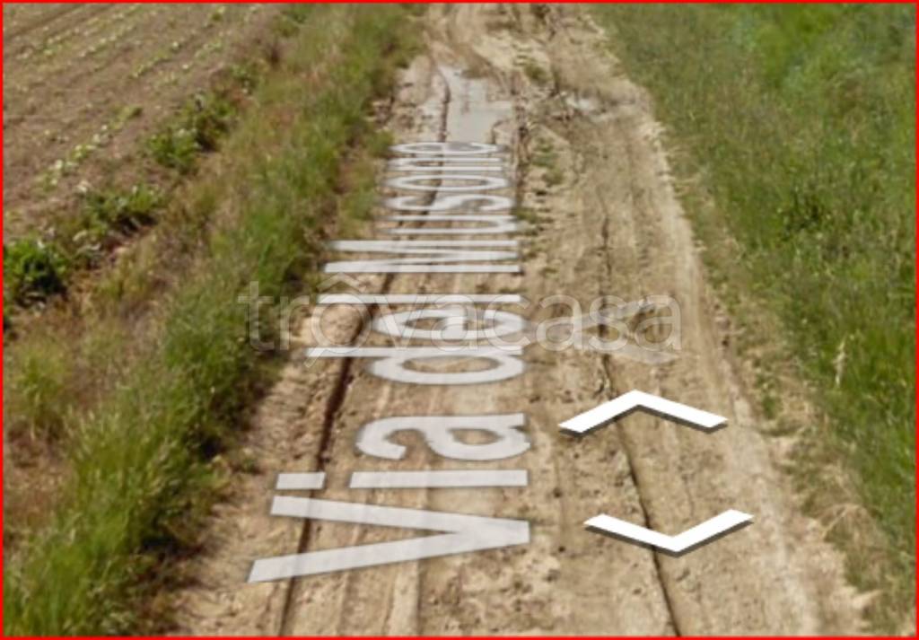 immagine annuncio 10 di 13