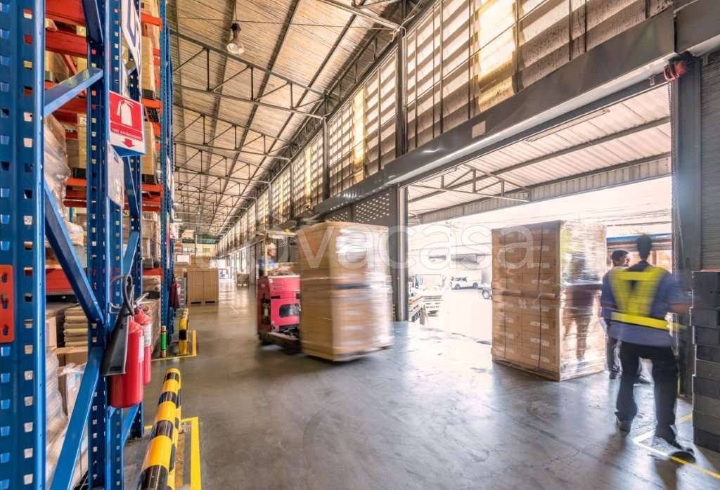 immagine annuncio 3 di 6