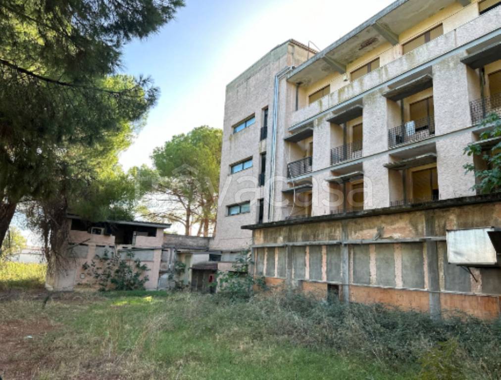 immagine annuncio 2 di 12