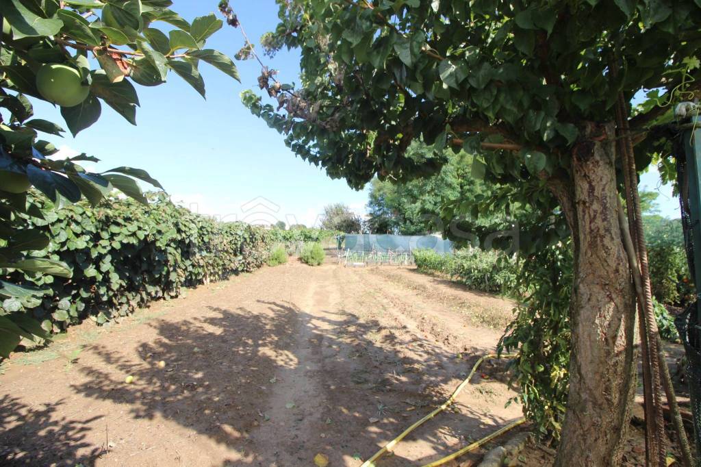 immagine annuncio 7 di 14