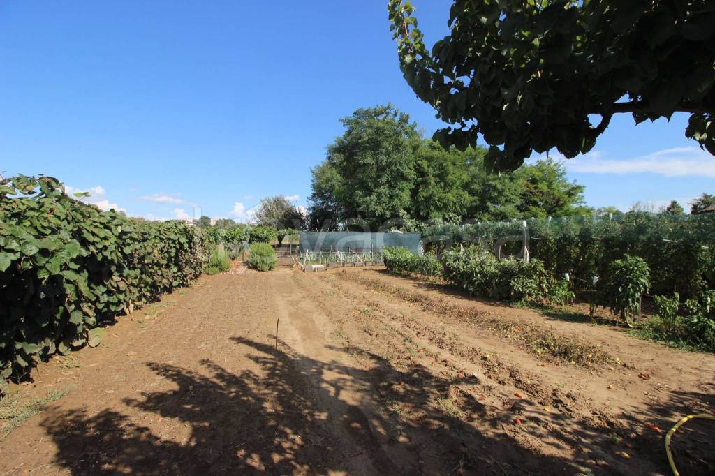 immagine annuncio 8 di 14