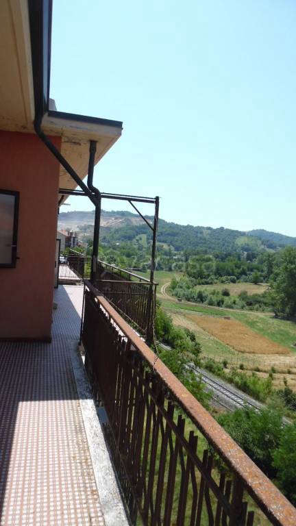 immagine annuncio 12 di 14