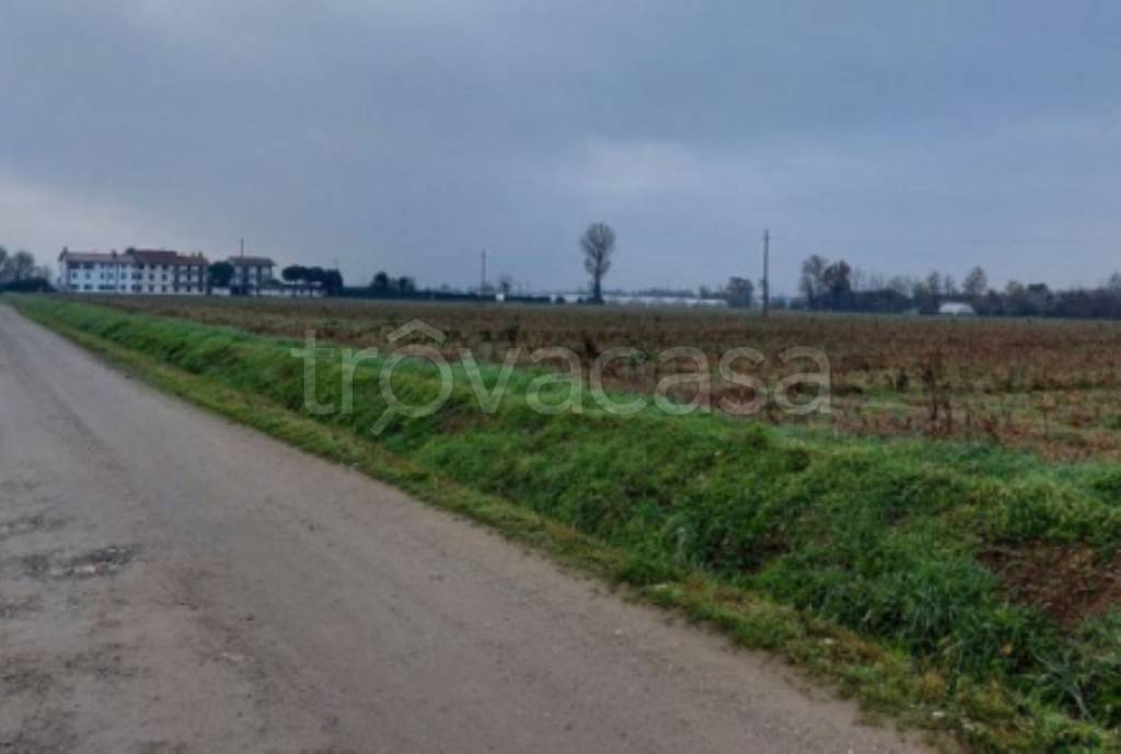 immagine annuncio 8 di 12