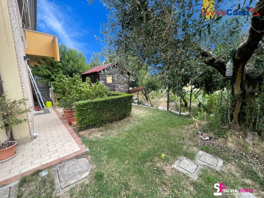 immagine annuncio 11 di 15