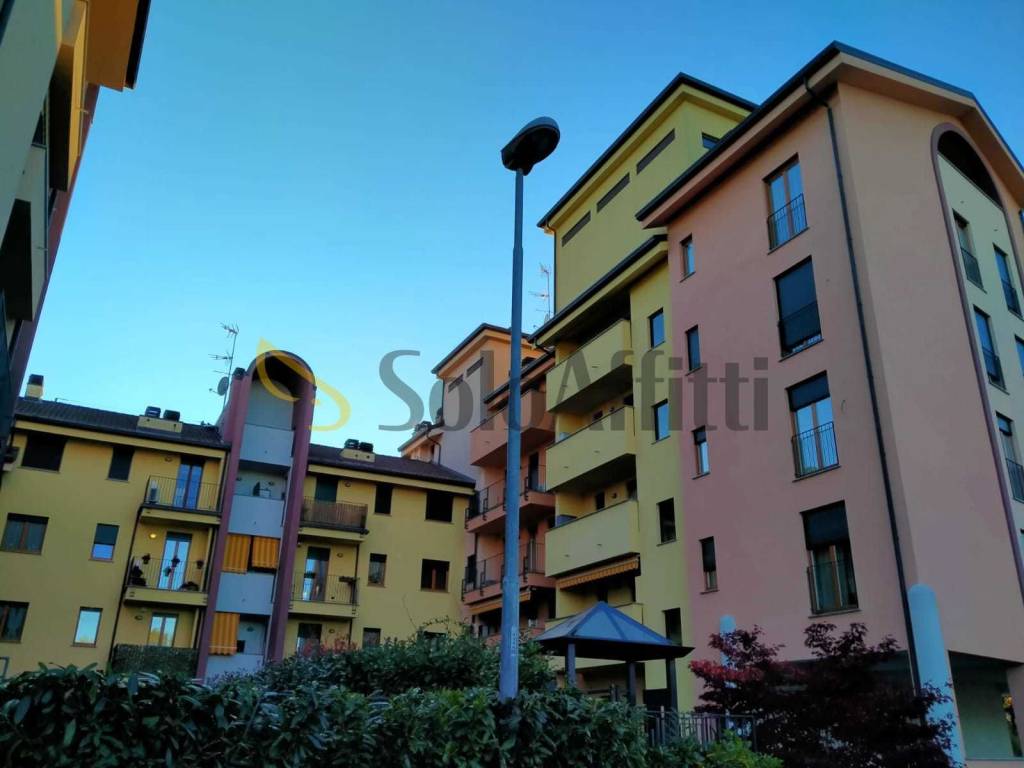 immagine annuncio 7 di 15