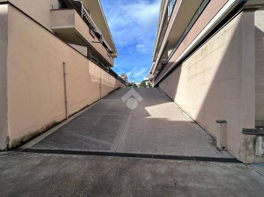 immagine annuncio 4 di 8