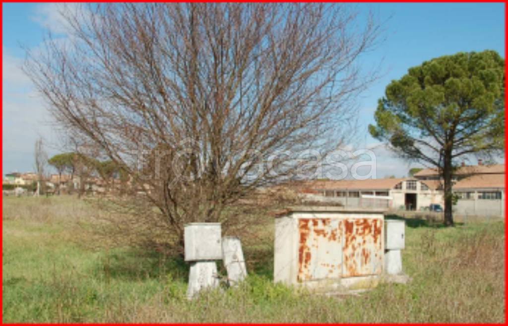immagine annuncio 2 di 12