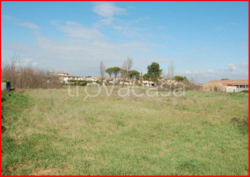 immagine annuncio 4 di 12
