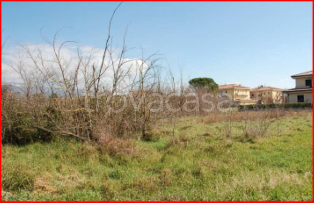immagine annuncio 6 di 12