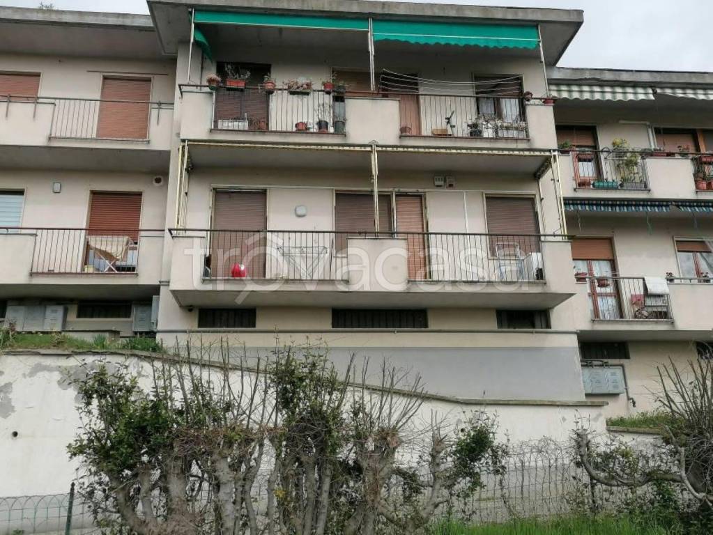 immagine annuncio 1 di 12