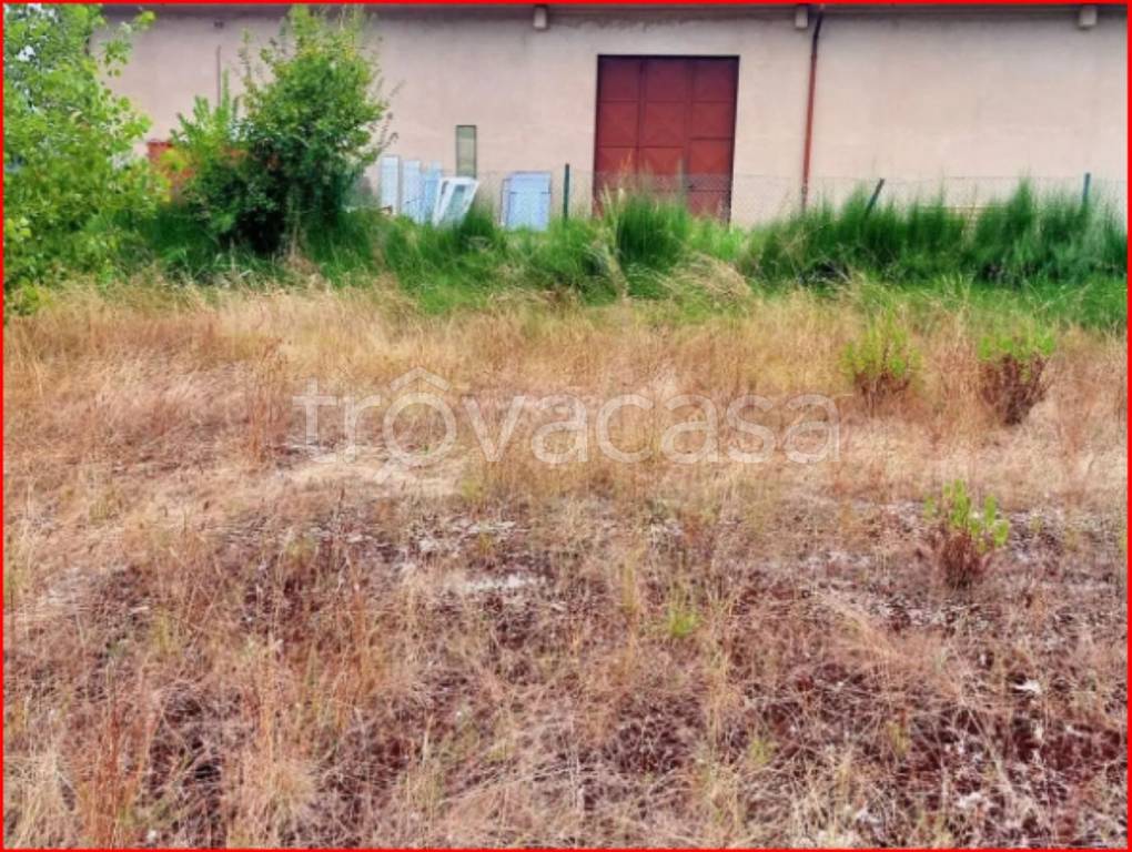 immagine annuncio 7 di 13