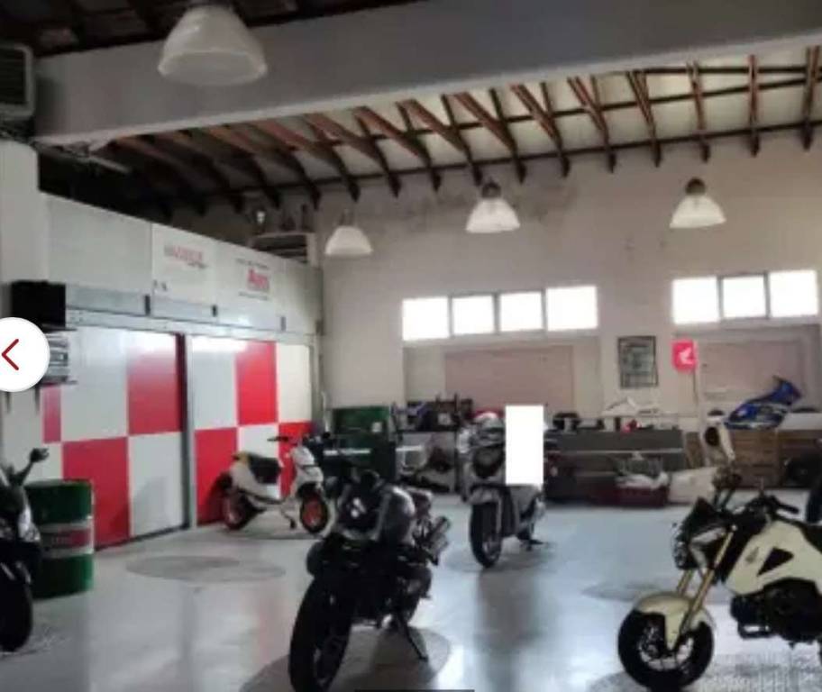 immagine annuncio 12 di 14