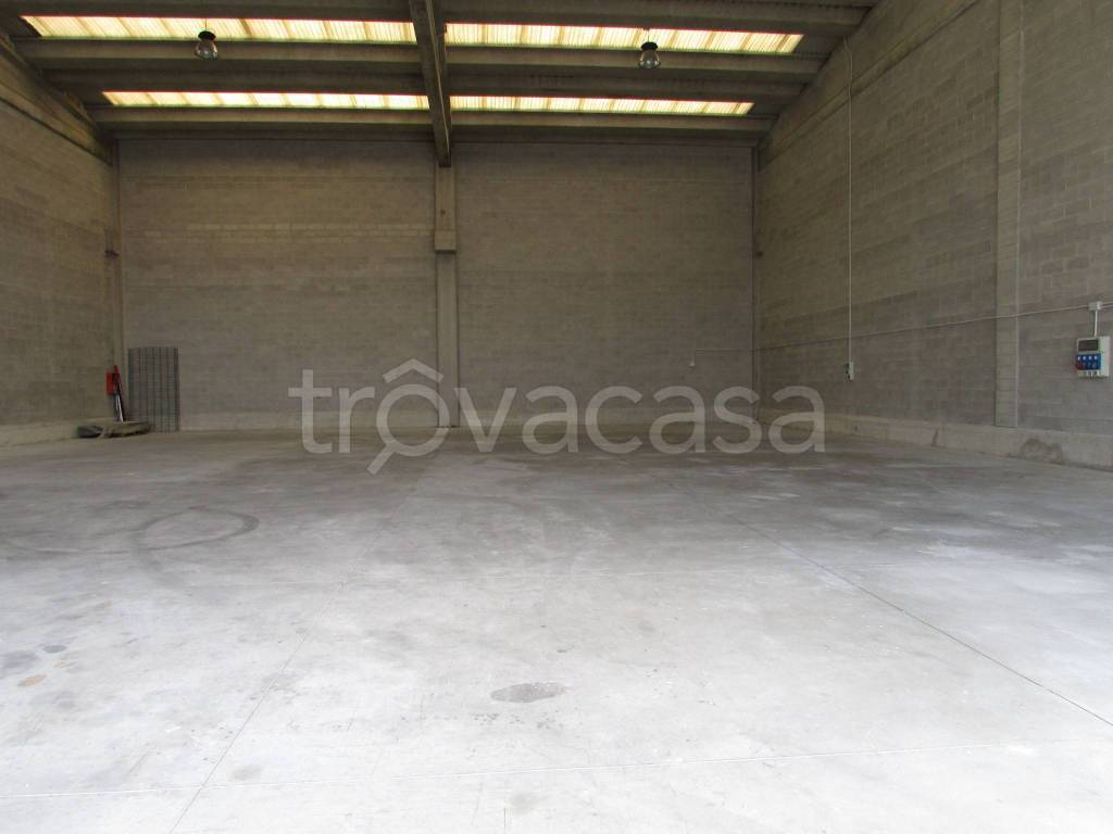 immagine annuncio 8 di 13
