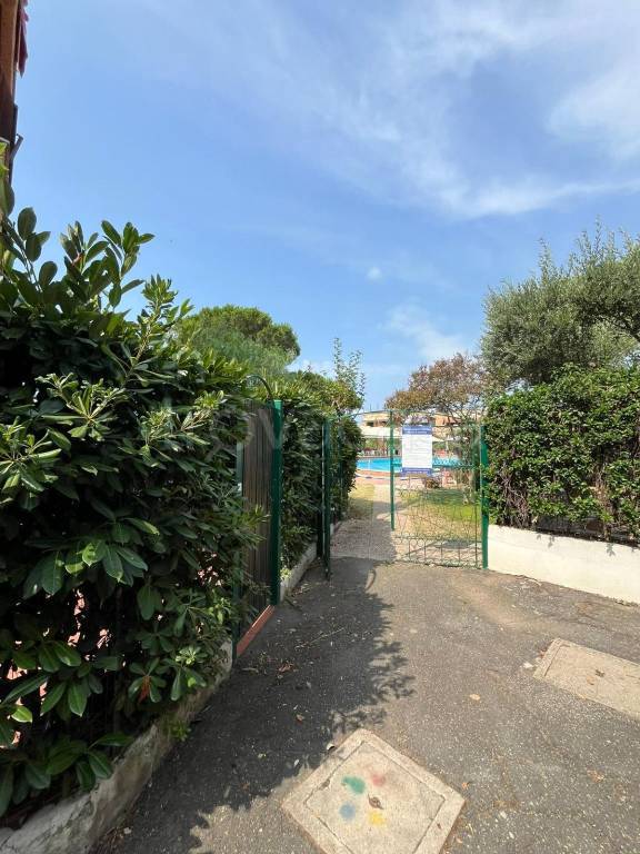 immagine annuncio 11 di 12