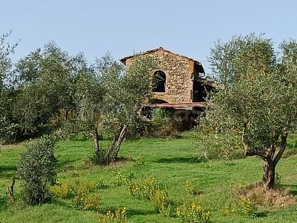 immagine annuncio 3 di 8