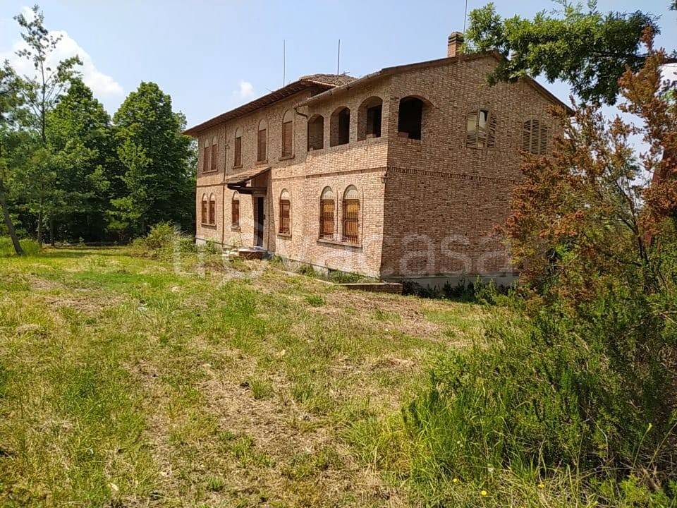 immagine annuncio 7 di 8