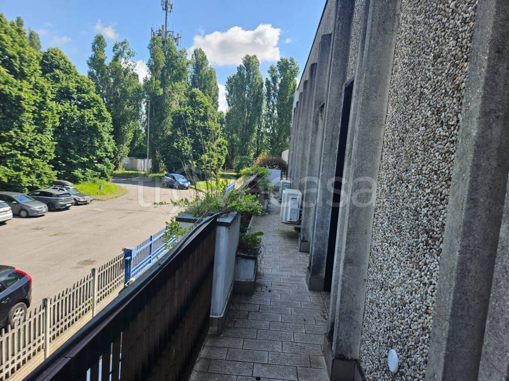 immagine annuncio 5 di 13