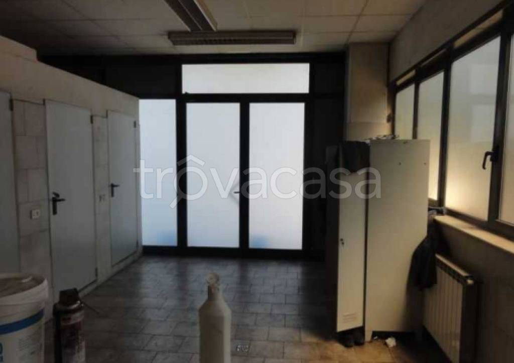 immagine annuncio 3 di 11