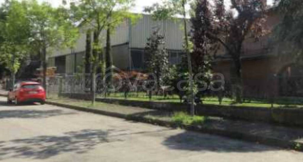 immagine annuncio 7 di 11