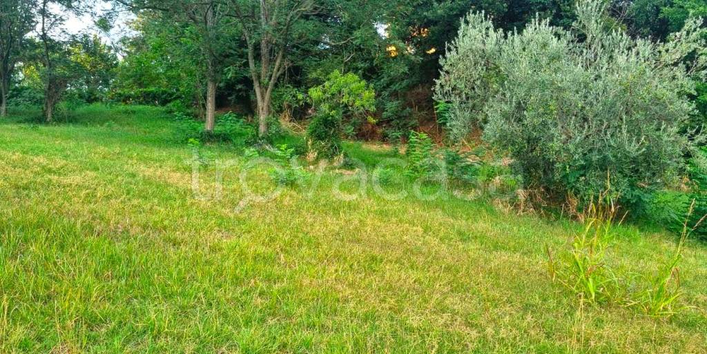 immagine annuncio 3 di 4