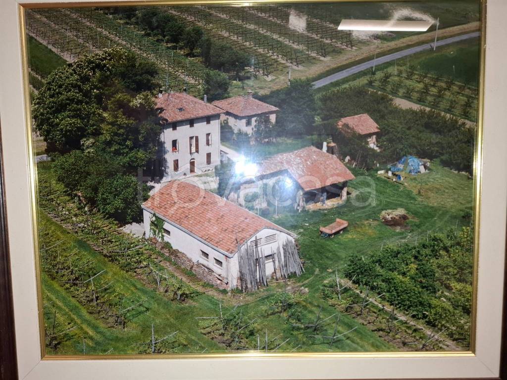 immagine annuncio 5 di 7